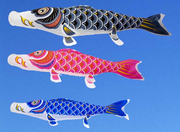 定番ナイロン鯉【鯉のぼり】２ｍスタンドセット ※五色吹き流しセット 